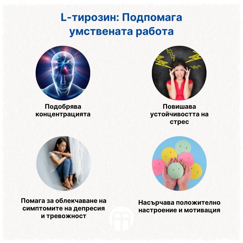 (Bulharština) L-Tyrosine Podpora mentální výkonnosti